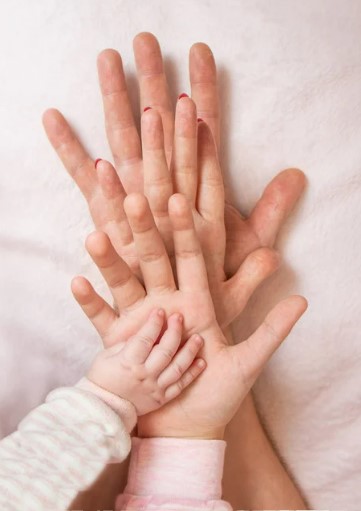 Constelaciones familiares